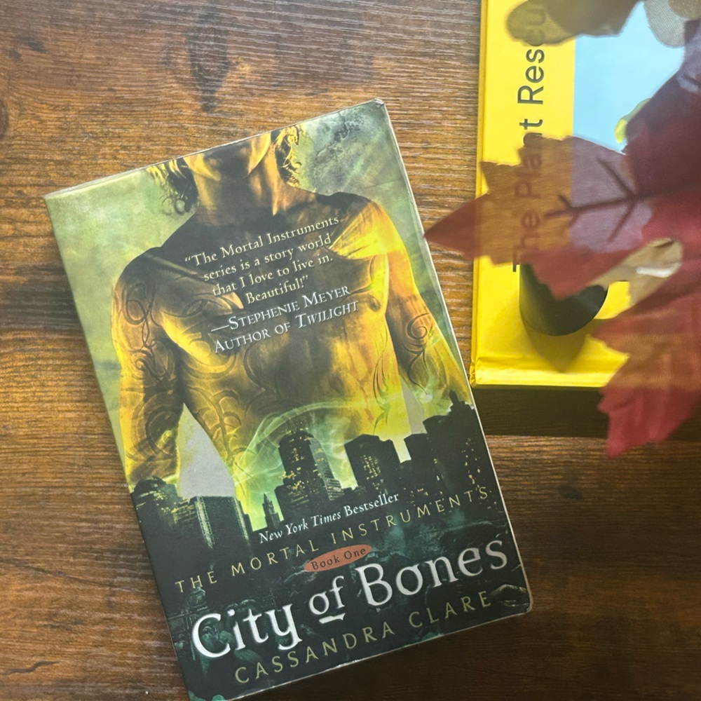 City of Bones Book